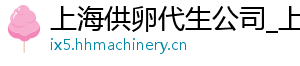 上海供卵代生公司_上海公司_上海代生公司	